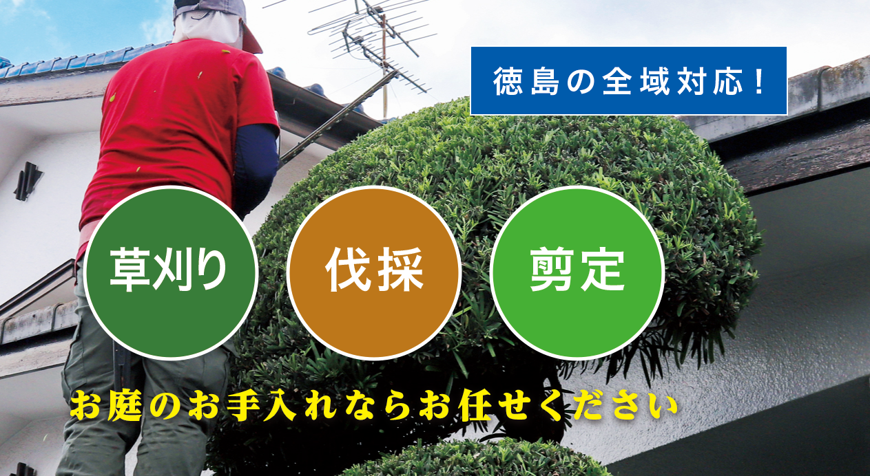 牟岐町で草刈り・剪定・伐採なら「お庭の大将」
