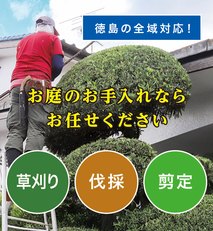 牟岐町で草刈り・剪定・伐採なら「お庭の大将」 牟岐町で草刈り・剪定・伐採なら「お庭の大将」